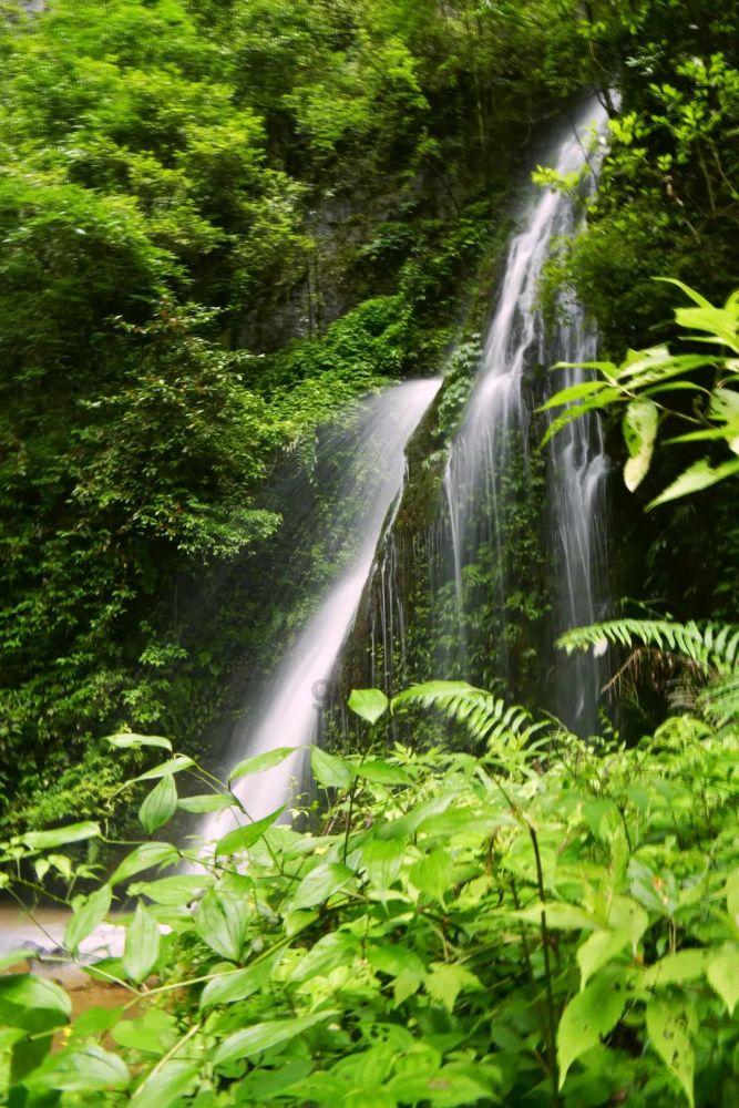 虫虫助手下载